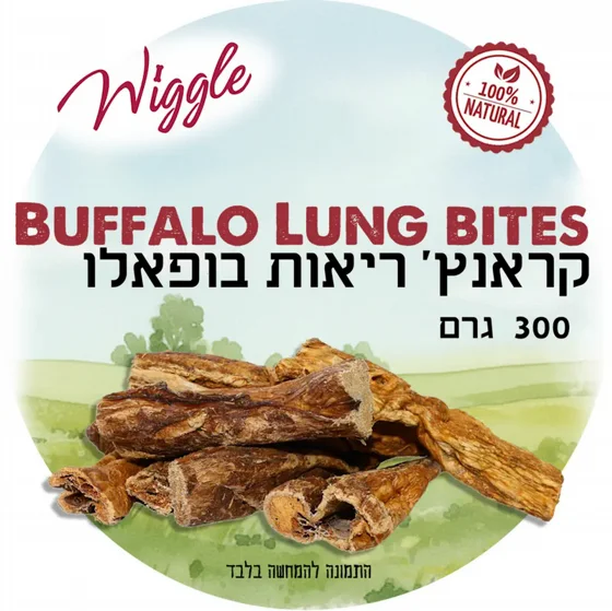 WIGGLE ���� ����� ������ (300 ���) | ���� ��� | ���� ���� �� ����
