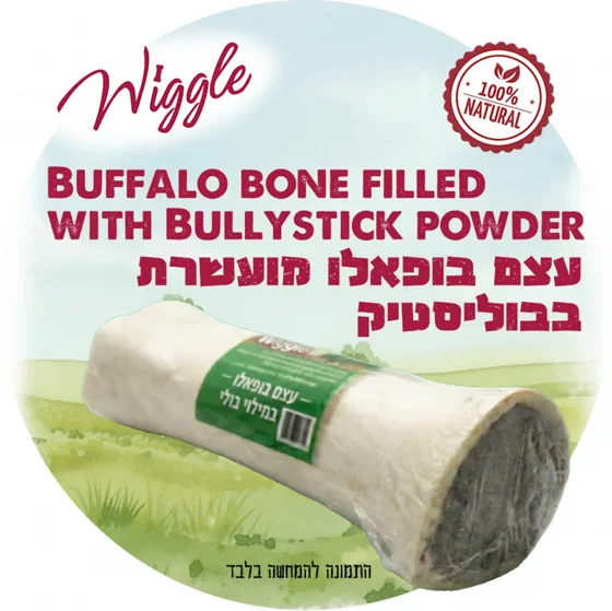 WIGGLE ��� ������ ������ ���� ���� ���� | ���� ����� ���� �����