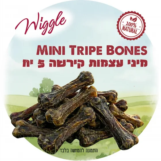 WIGGLE ���� ����� ����� ������� ������ ���� | ���� 5 ������
