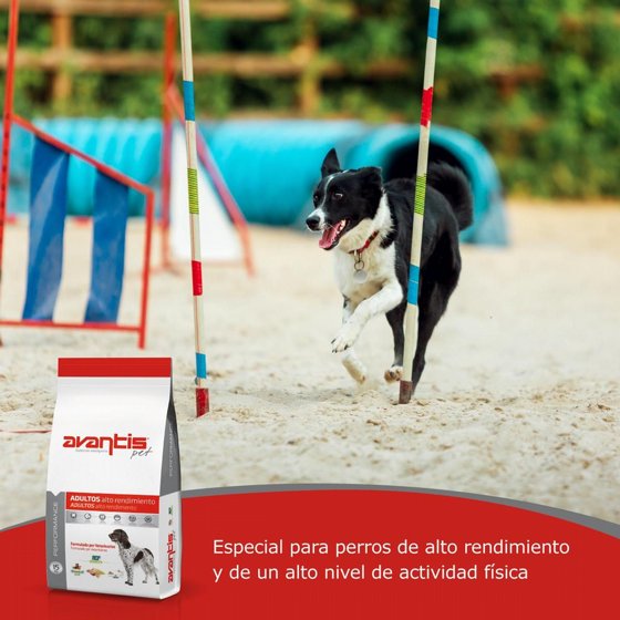 AVANTIS ������� ��������� ����� ������ 3 ���� ��� 15 �"�
