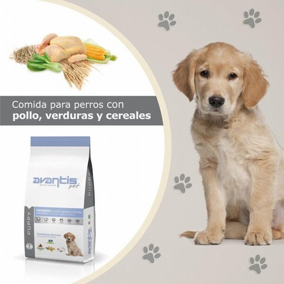AVANTIS ������� ����� ��� ������ 15 �"� | ���� ������� ��� ����� ����� | Avantis Puppy
