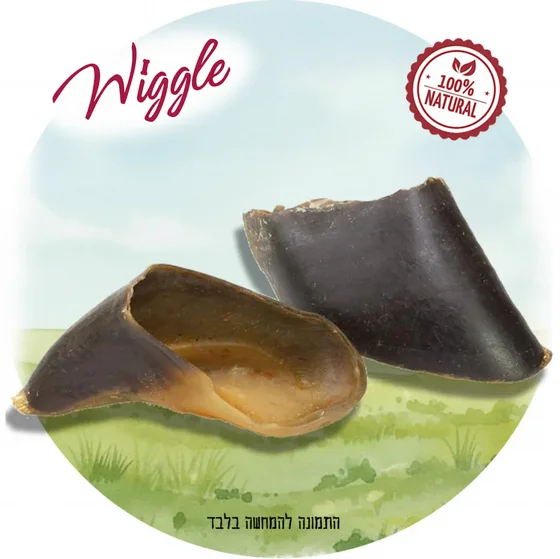 ���� ������ ����� WIGGLE