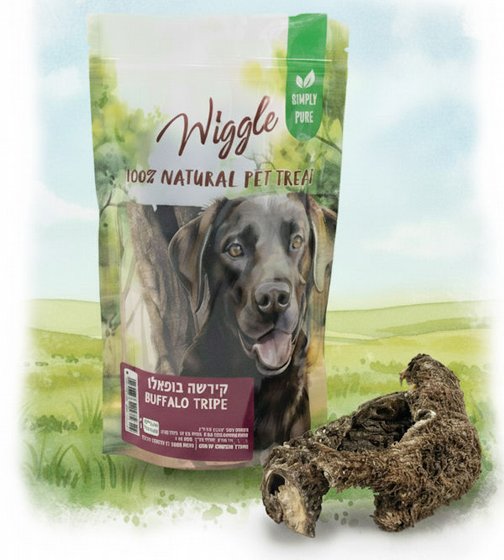 WIGGLE ���� ����� ������ 90 ���