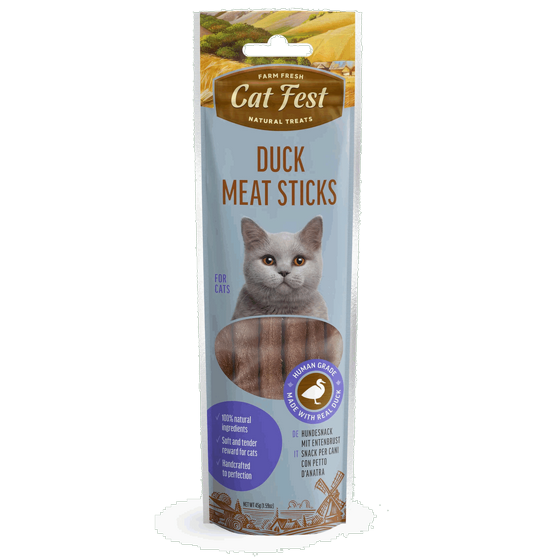 Cat Fest ���� ����� ����� ����� 45 ���