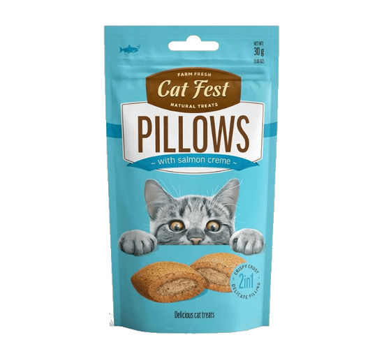 Cat Fest ���� ����� ����� �� ��� ����� 30 ���