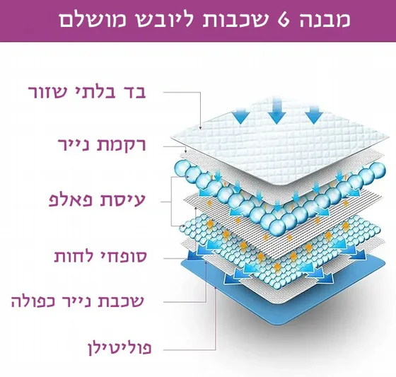 ���� ������ ���� Purry �������� ������ ���� �� 100 ��  60 �� 60 ��