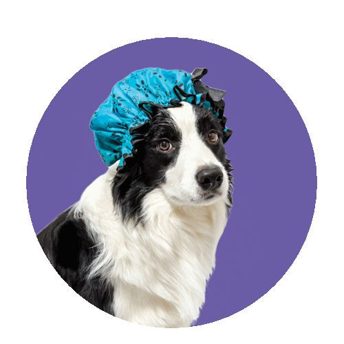 ����� ����� �������� �����