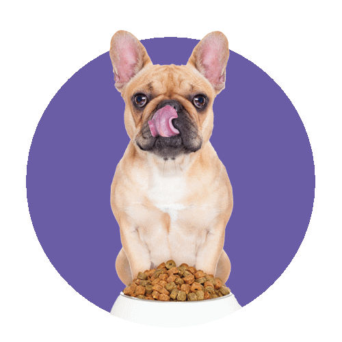 ���� ��� ������