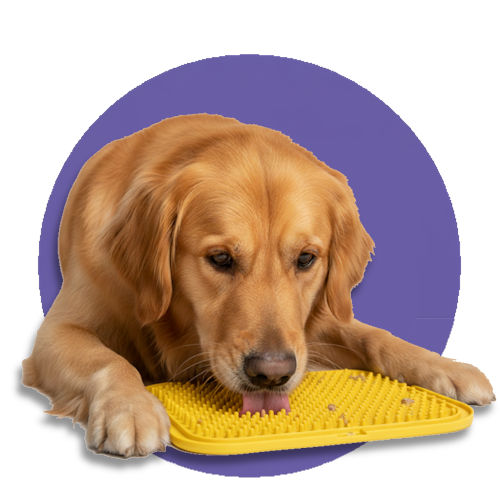 ��� ���� ������ �����