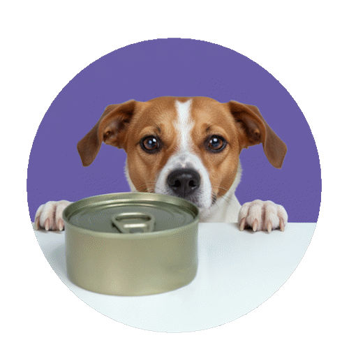 ������� / ������