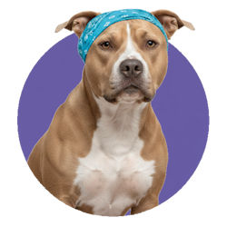 ����� ����